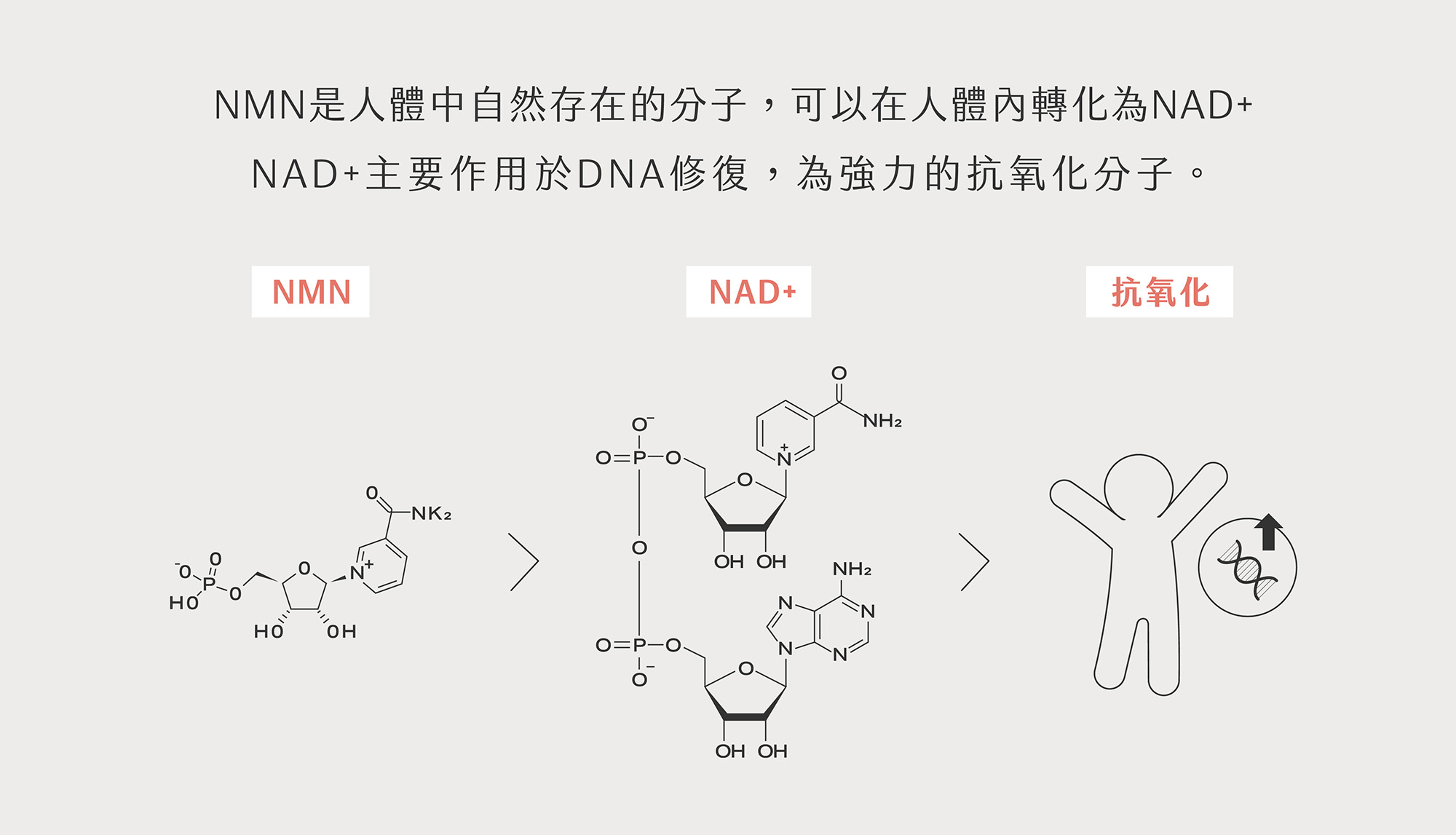 0515第一款膠原蛋白行銷圖 單張圖-05